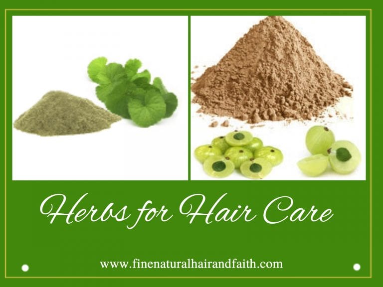 Amla and Brahmi herbs for hair care
