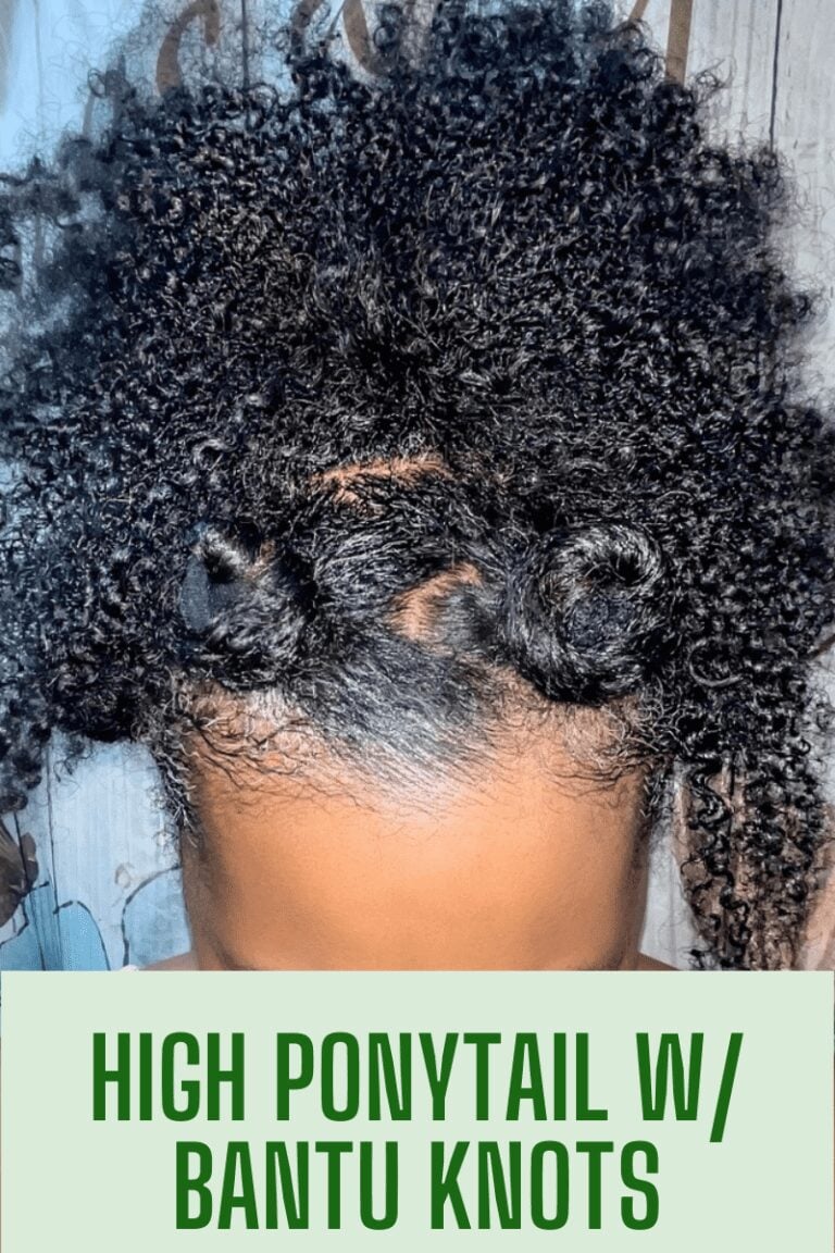 50 Easy Natural Hair Ponytail Styles For Curly Hair 50 Easy Natural Hair Ponytail Styles For Curly Hair