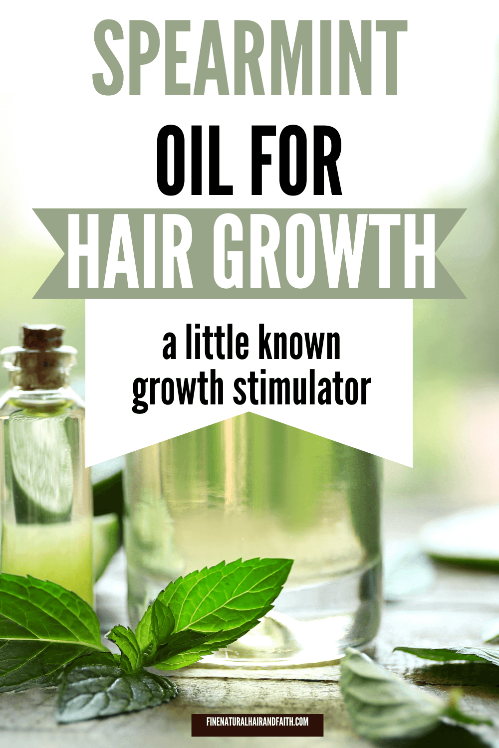 picture of a bottle of spearmint oil and some spearmint leaves with the words spearmint oil for hair growth a little known growth stimulator overlaying the image