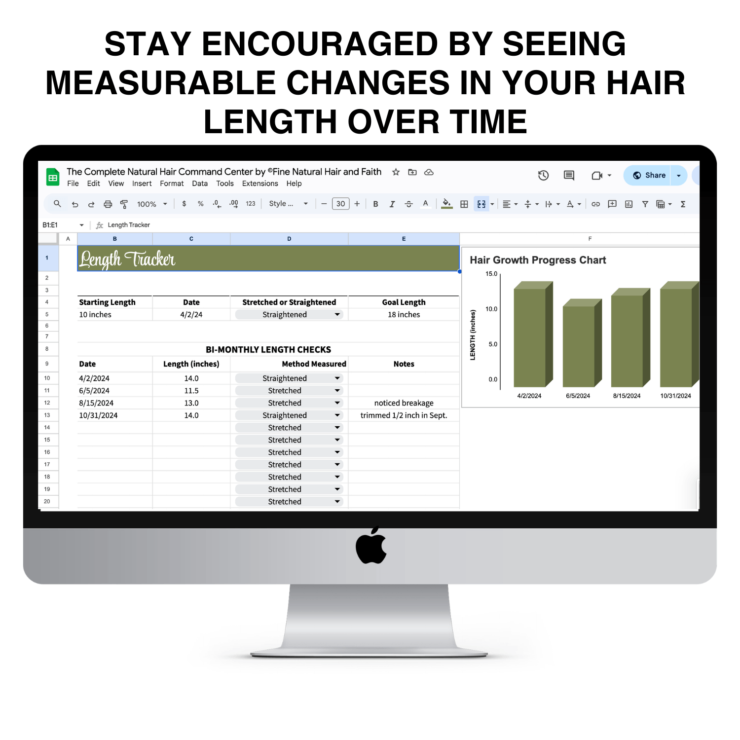 Natural hair length tracker inside The Natural Hair Care Dashboard showing measurable hair growth progress chart and bi monthly length checks