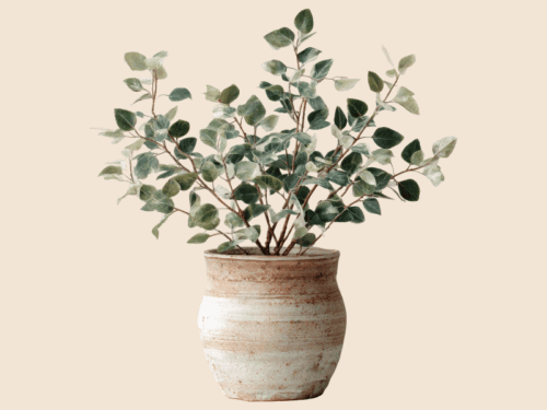 plant symbolizing stewardship