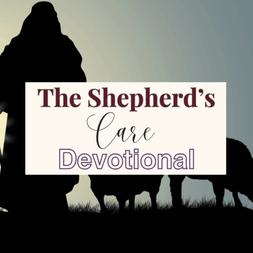 the shepherd's care devotional featured image with a shepherd and sheep